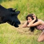 Featured Photo