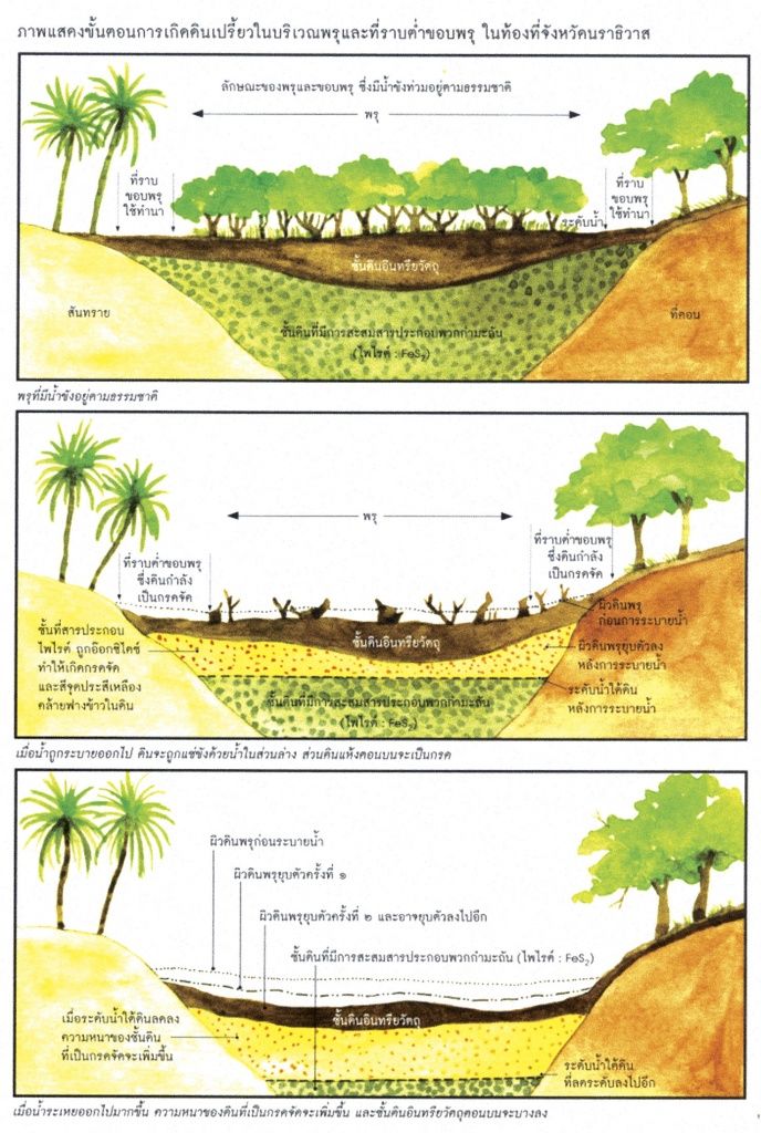 soil.jpg