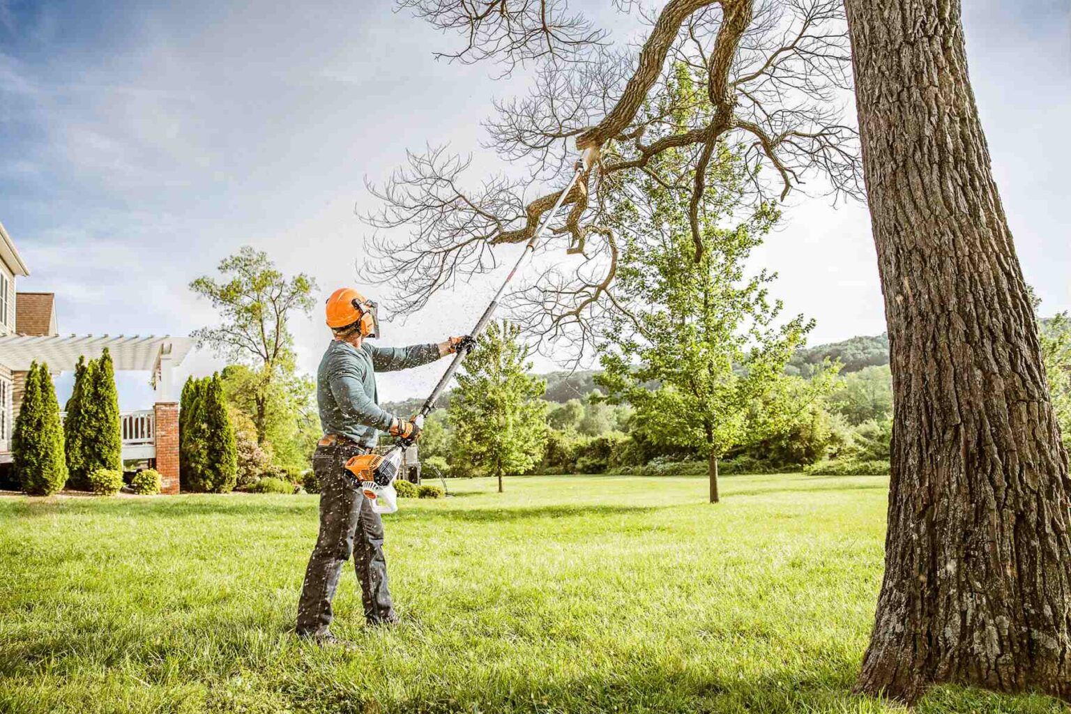 Tree trimming Mornington Peninsula