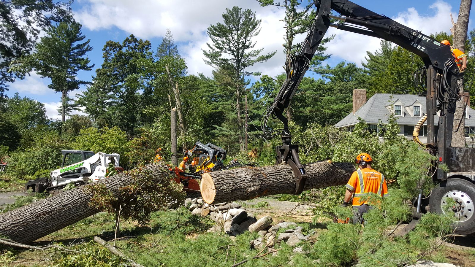 Boroondara Tree Removal