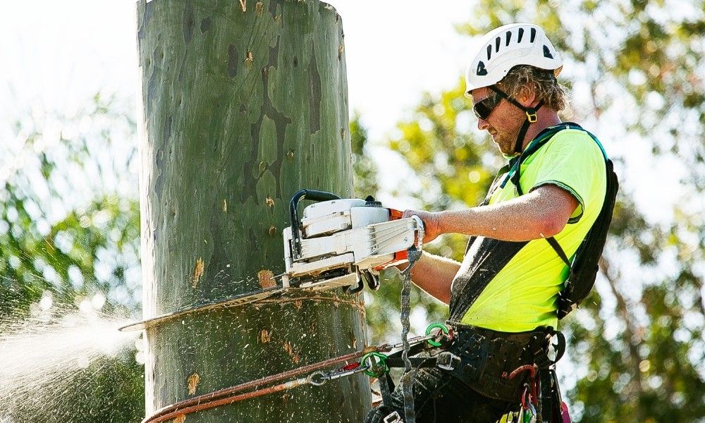 tree removal