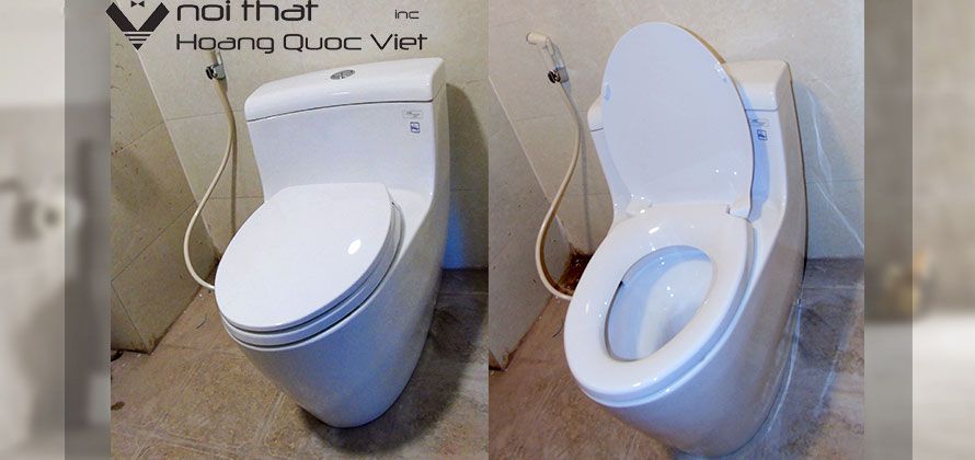 Bồn cầu 1 khối TOTO MS636DT2 8