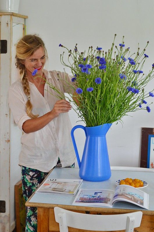 cornflower blue