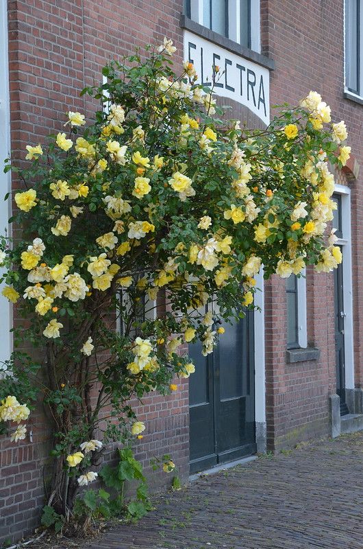 rotterdam - delfshaven