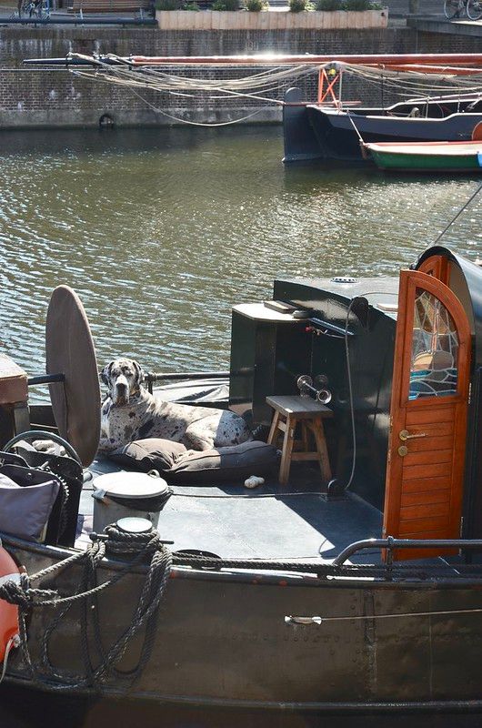 rotterdam - delfshaven