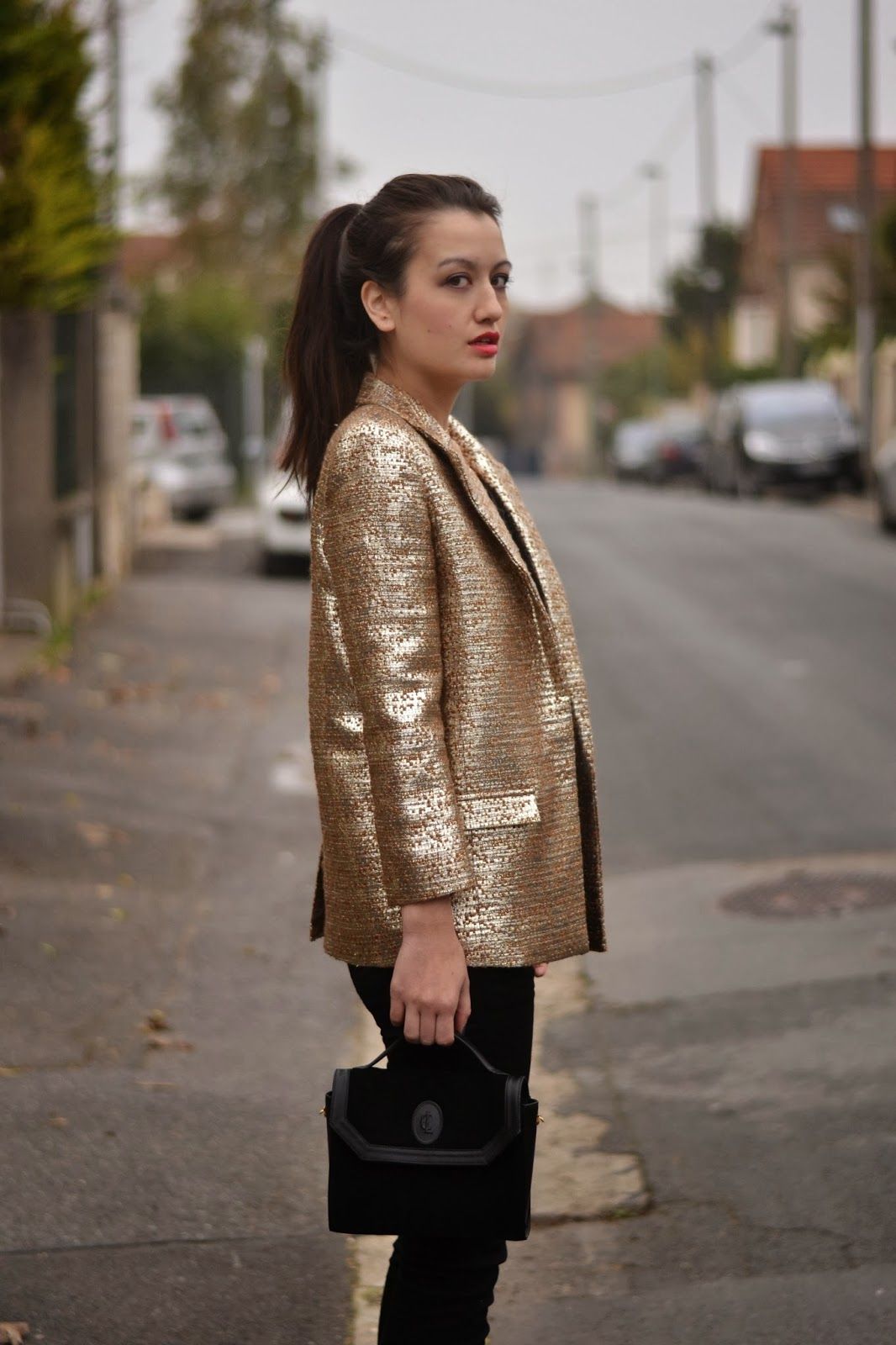 Fashion Blogger