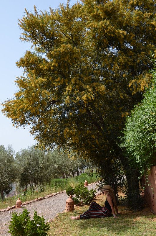 marrakech april 2017