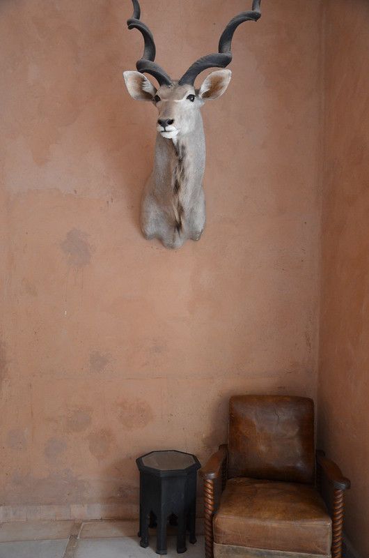 marrakech april 2017