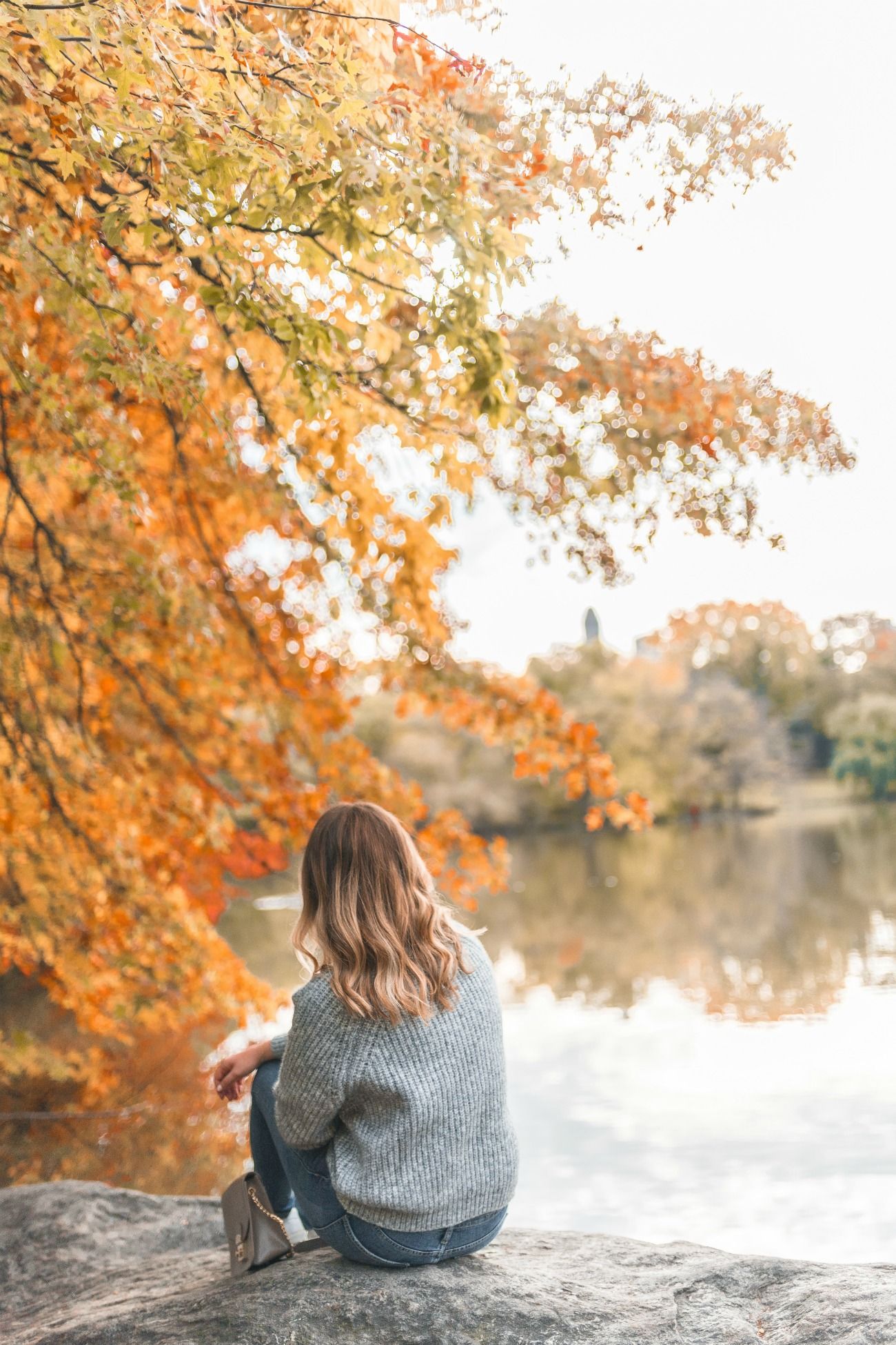 Fall in Central Park