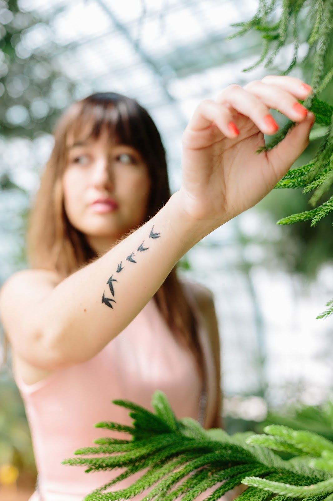 Paris botanical garden, Look, Summer look, Chicwish, Chic style, meet me in paree