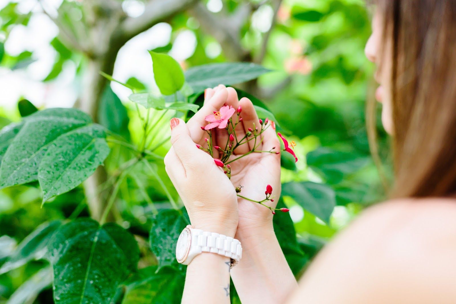 Paris botanical garden, Look, Summer look, Chicwish, Chic style, meet me in paree