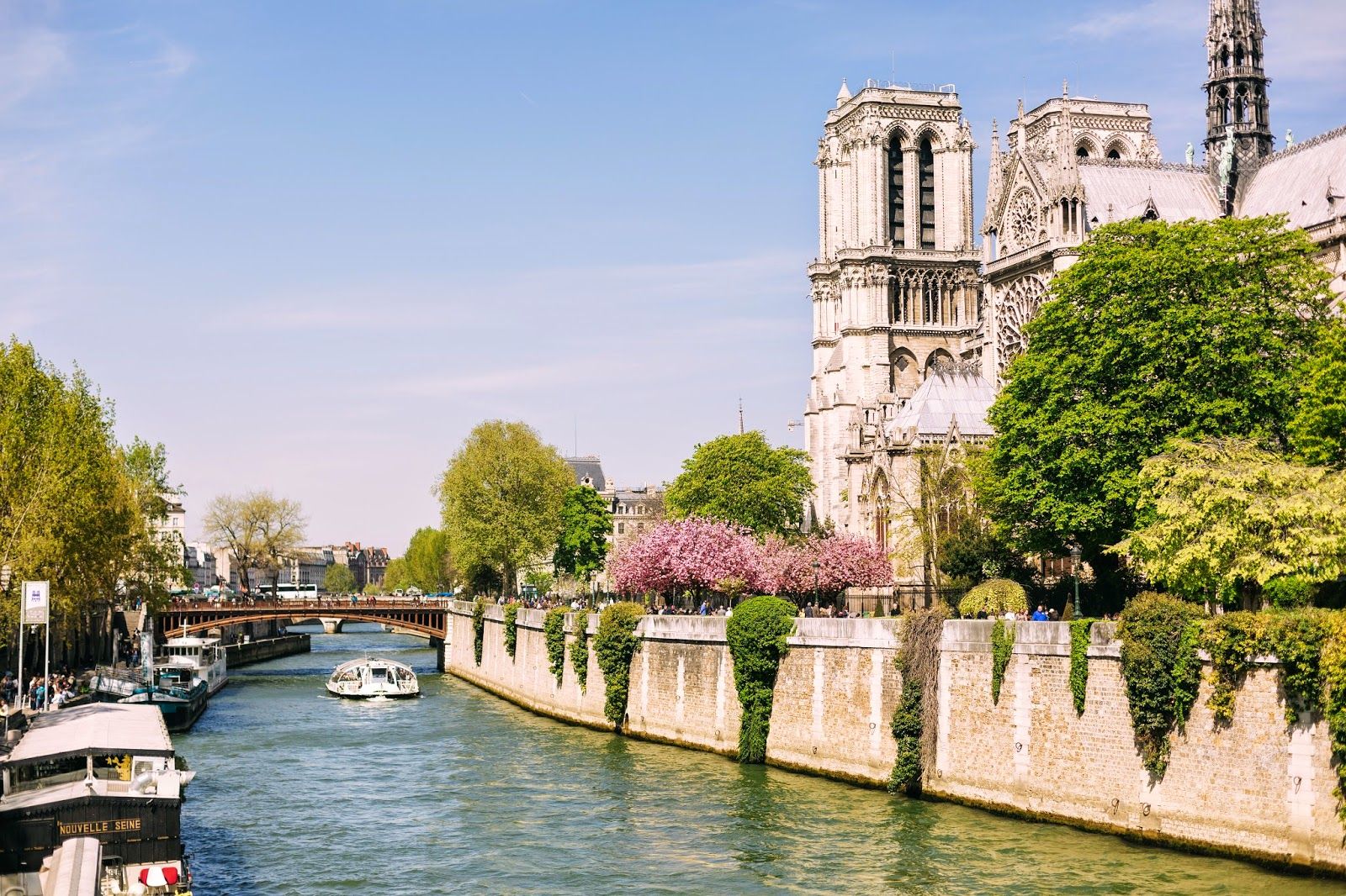 Paris the seine