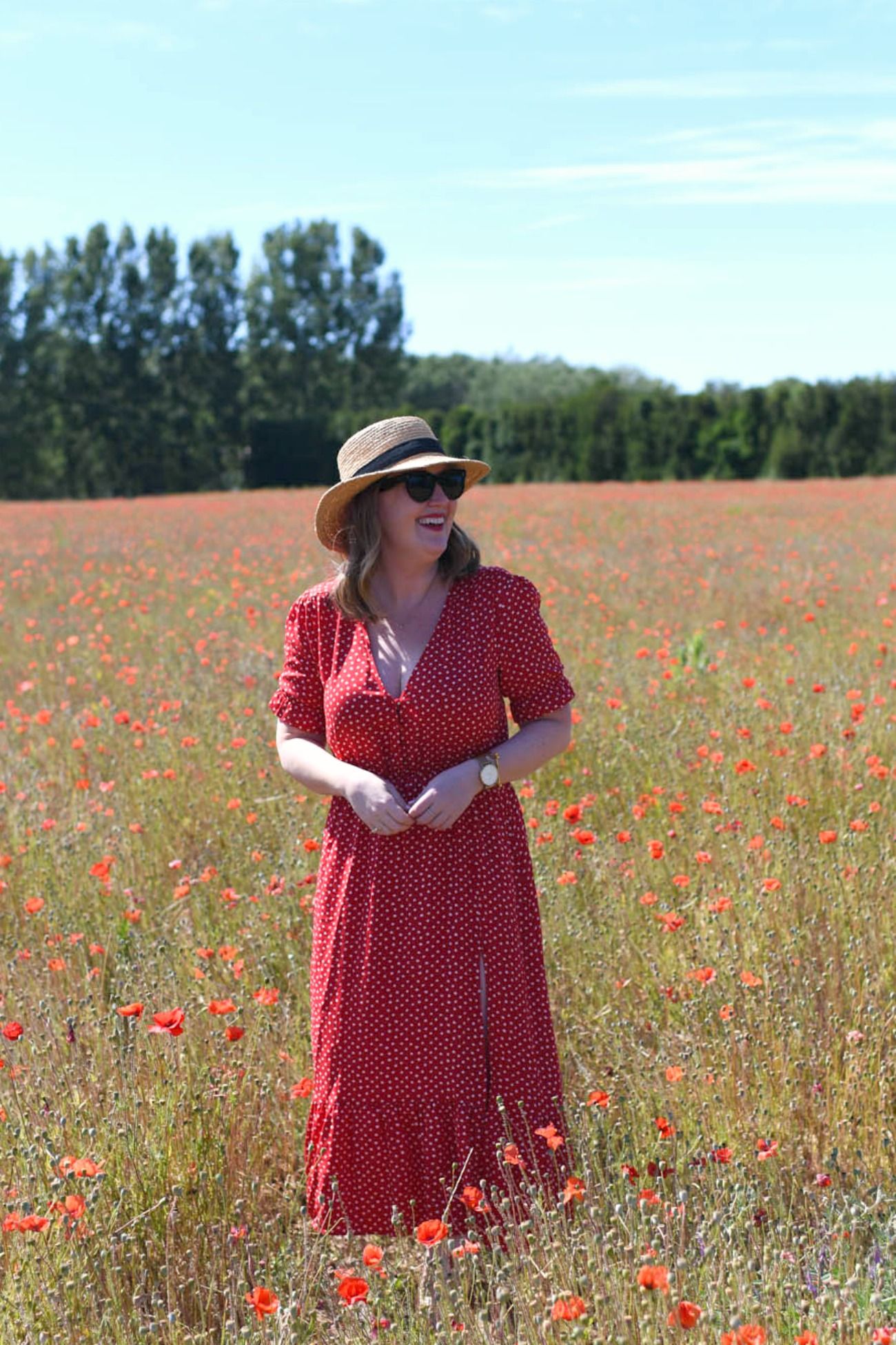 Provence Poppy Fields I wit & whimsy