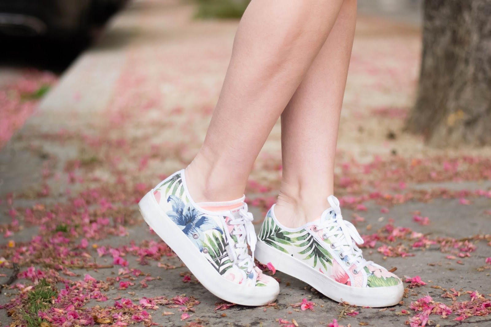 Pepe jeans shoes