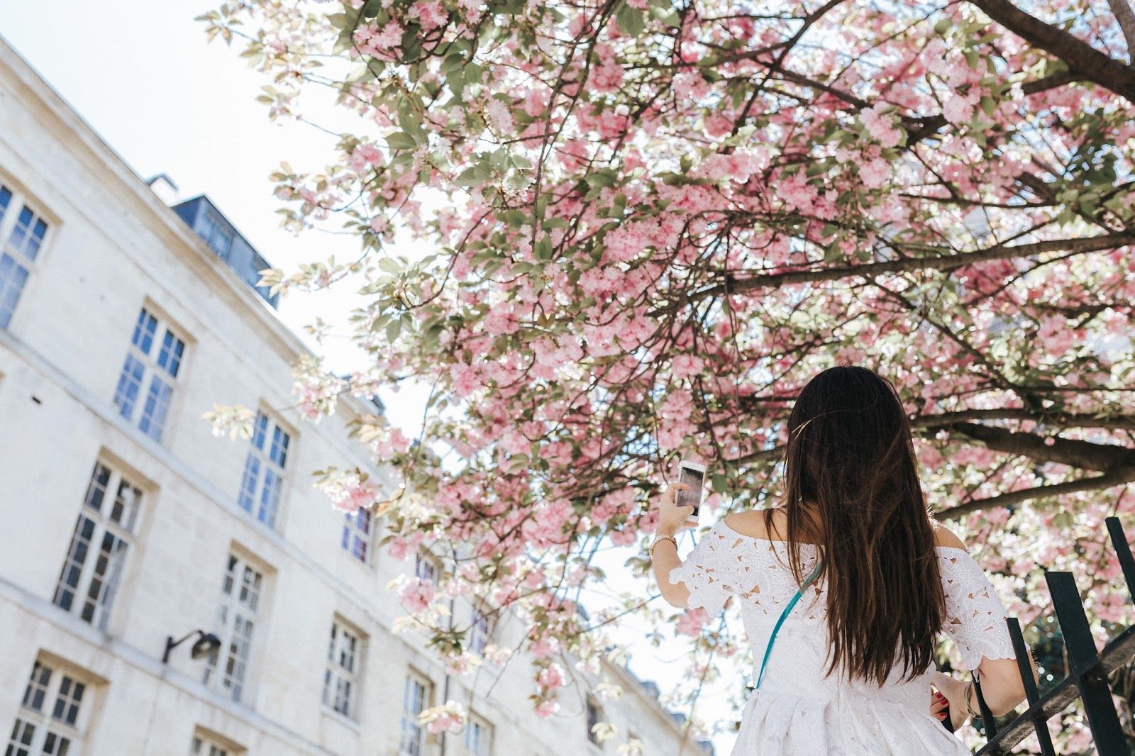 meet me in paree, blogger, fashion, look, style, paris, parisian style, summer style, chiicwish