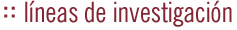 Líneas de investigación