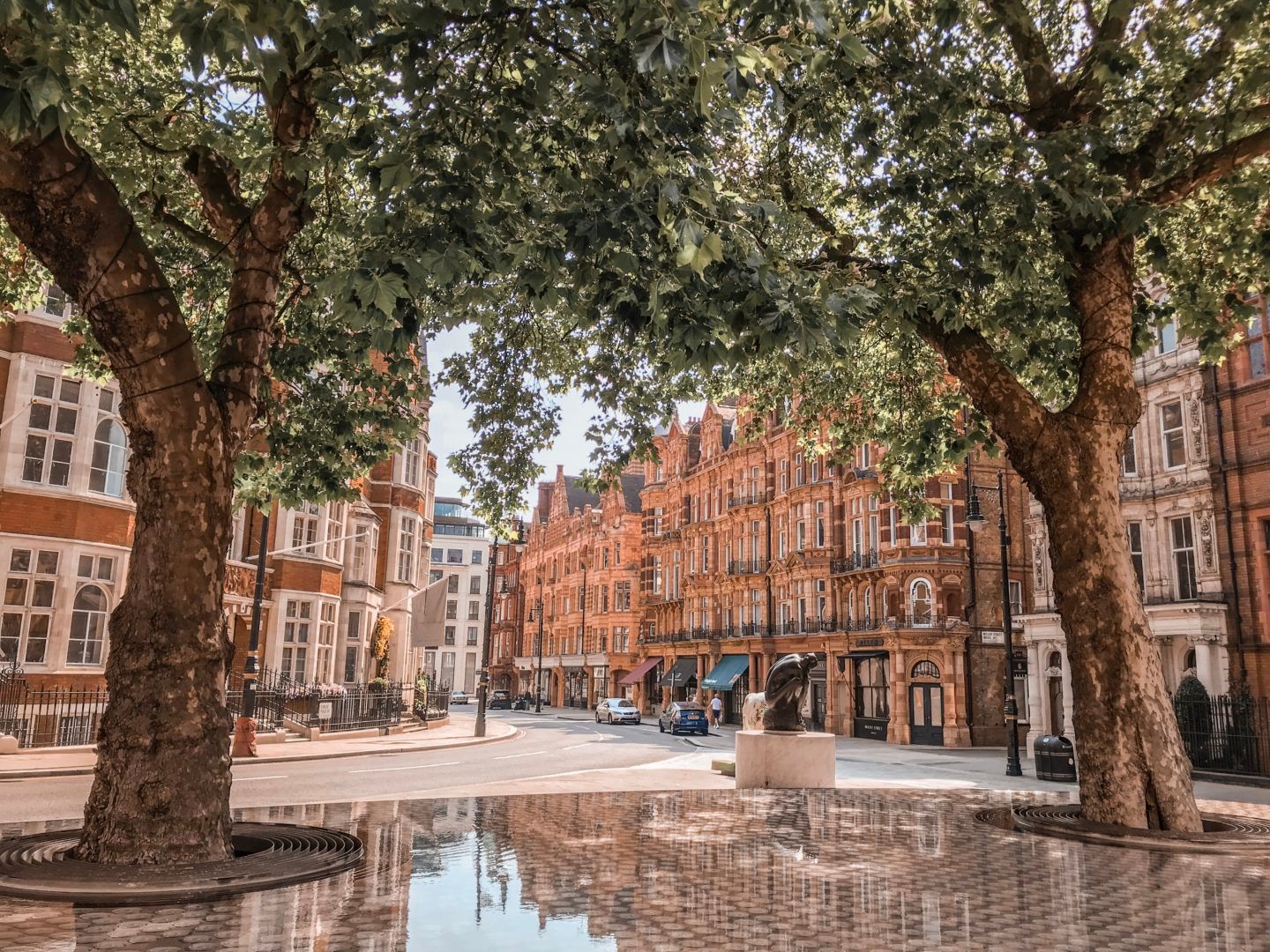 Spring blossom in London
