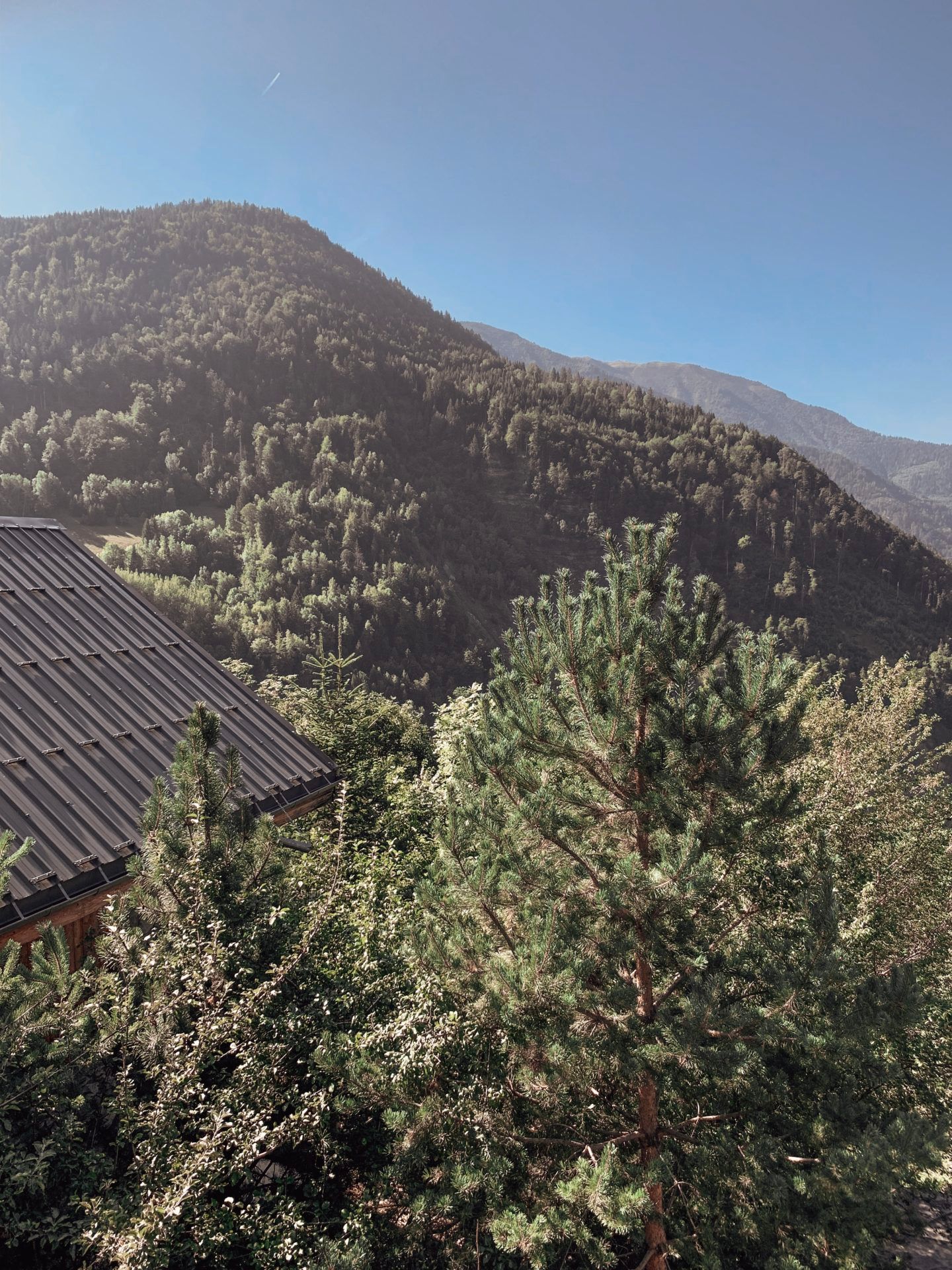 Chalet La Maitreya, France, Vaujany Holiday in the Alps