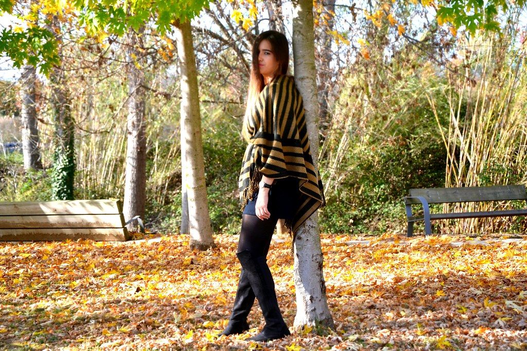 DSC_0522New