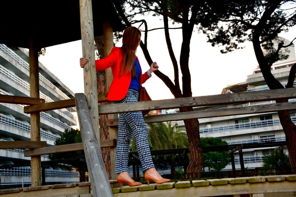 DSC_2221New