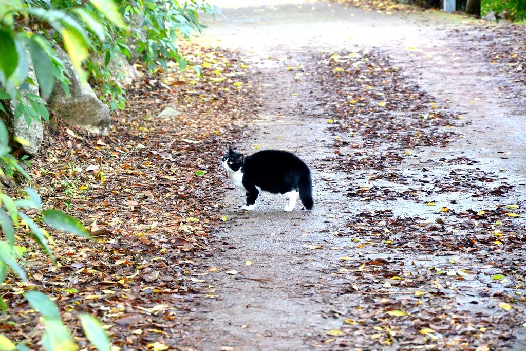 DSC_0523 (2)New