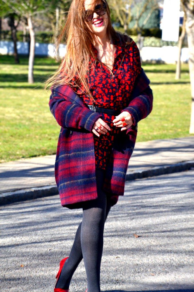 DSC_0454New
