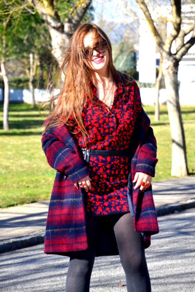DSC_0455New