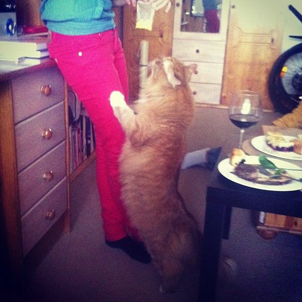 b27508b893cc11e2b30422000aaa0585_7